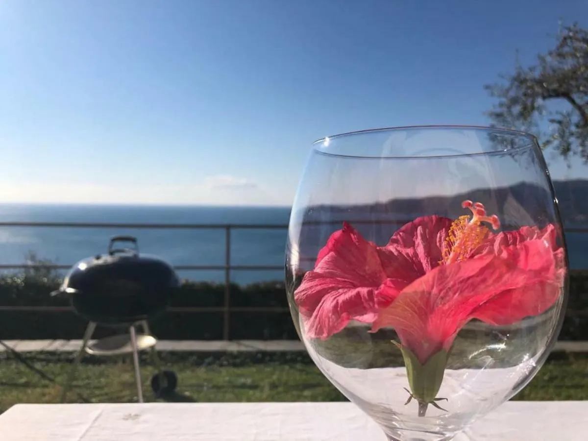Villa Del Sol Zoagli
